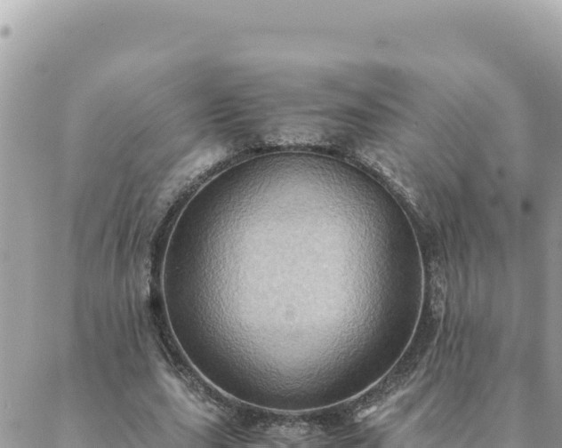 X0000088600631200706011203