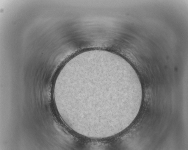 X0000088600632200706011203