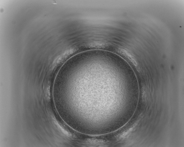 X0000088600633200706011203