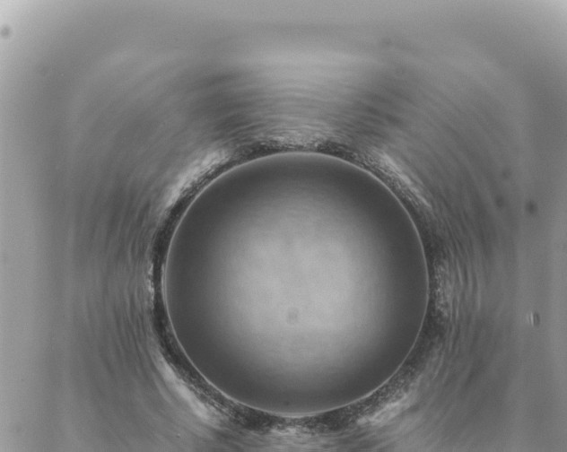 X0000088600634200706011203