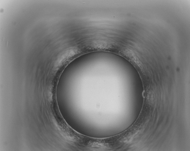 X0000088600635200706011203