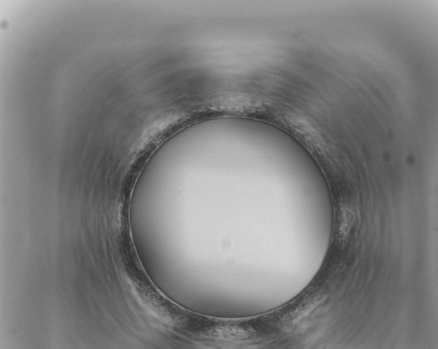 X0000088600636200706011203