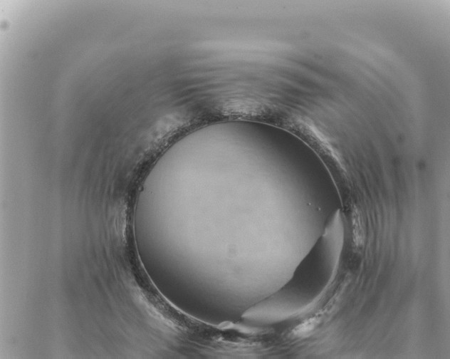 X0000088600637200706011203