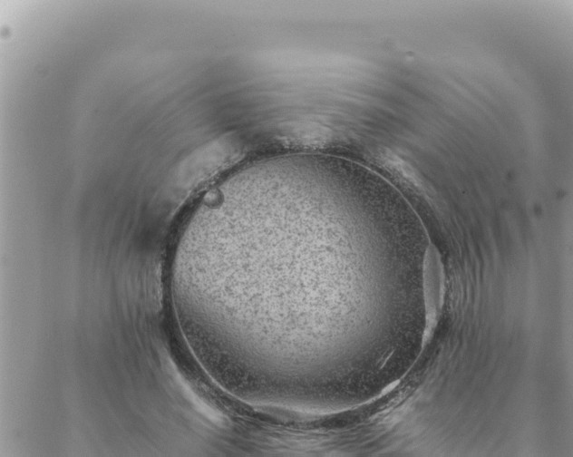 X0000088600638200706011203