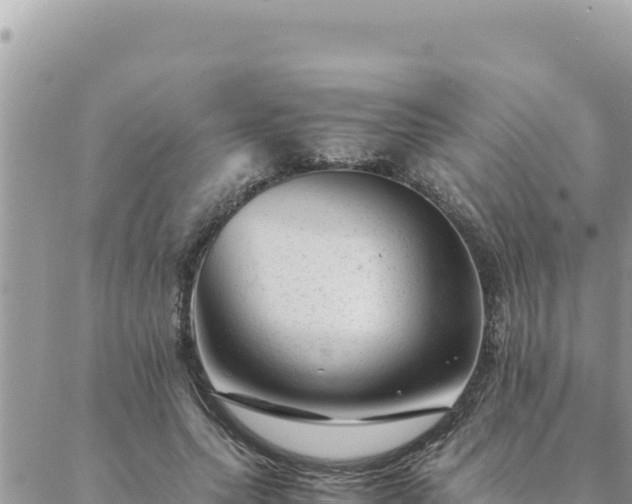 X0000088600639200706011203