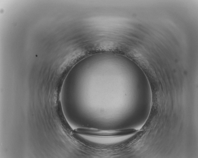 X0000088600640200706011203