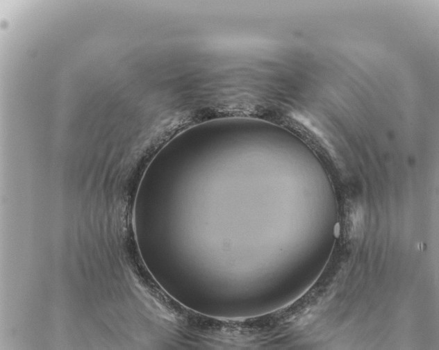 X0000088600641200706011203