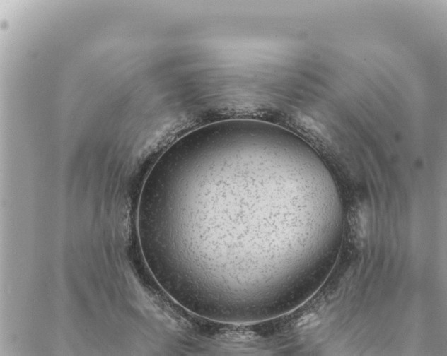 X0000088600642200706011203