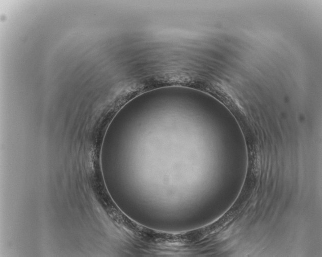 X0000088600643200706011203