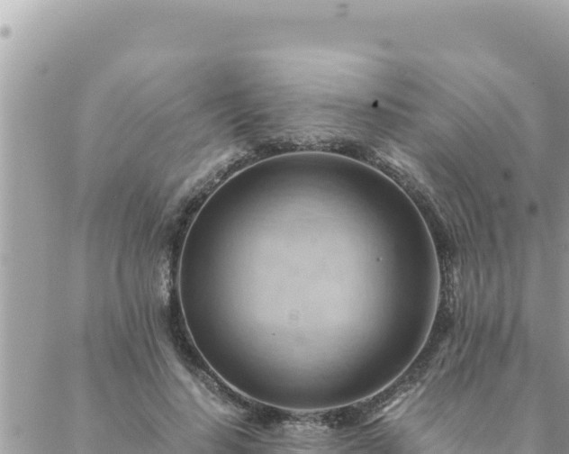 X0000088600644200706011203