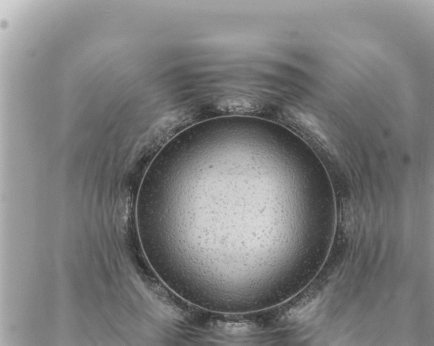 X0000088600645200706011204