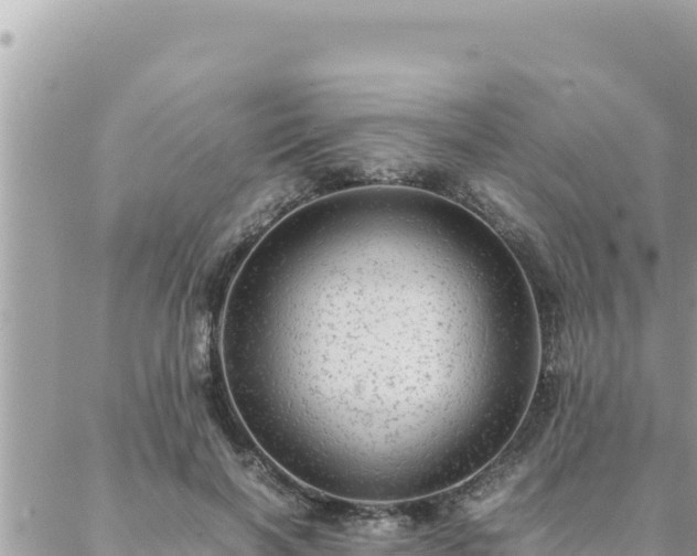 X0000088600646200706011204