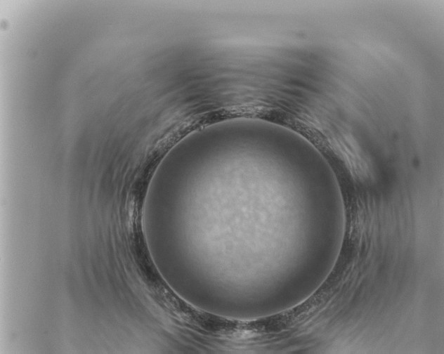 X0000088600647200706011204