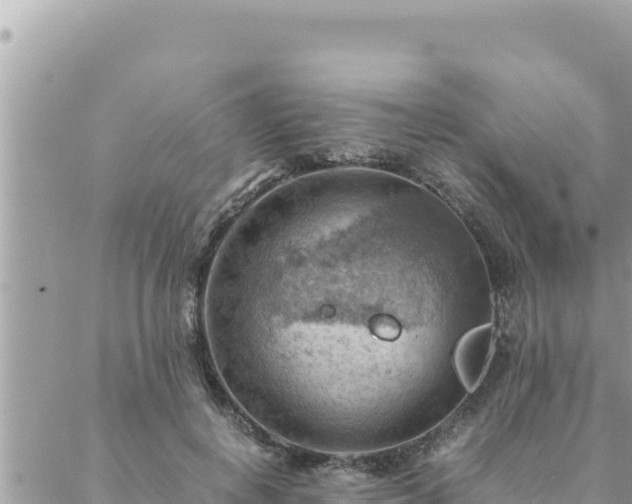 X0000088600648200706011204