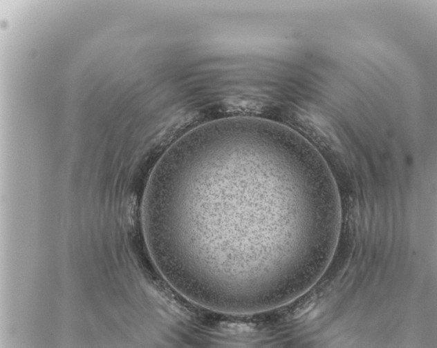 X0000088600649200706011204