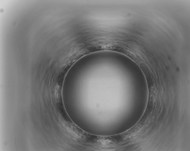 X0000088600650200706011204