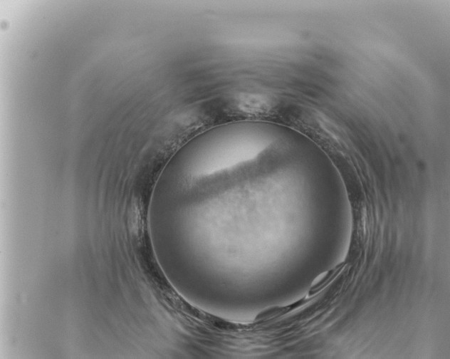 X0000088600651200706011204