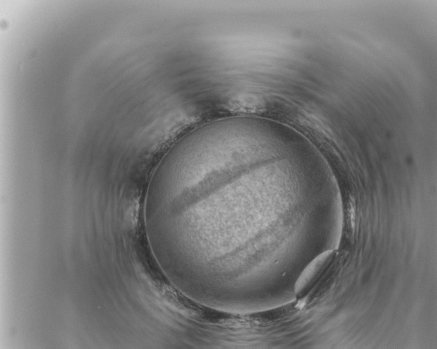 X0000088600652200706011204