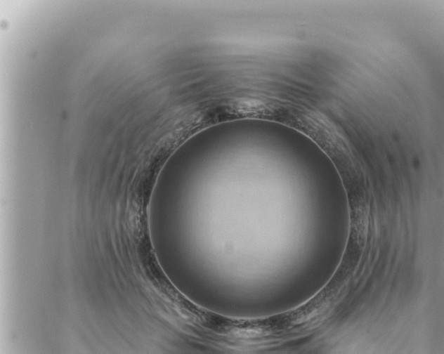 X0000088600653200706011204