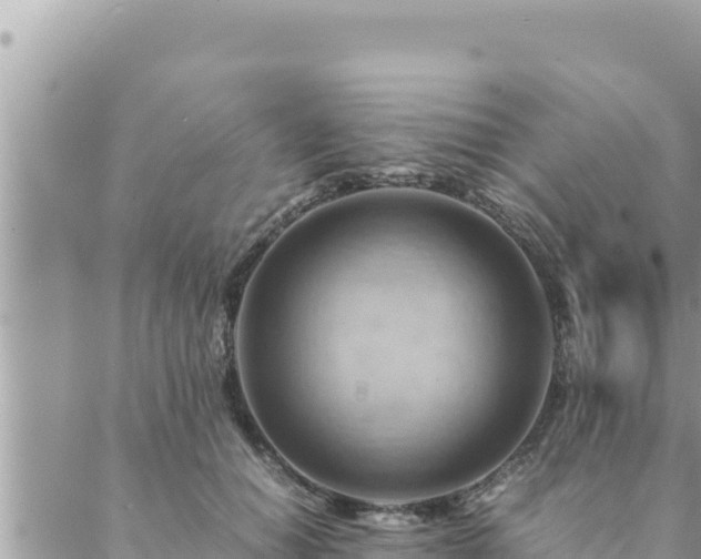 X0000088600654200706011204