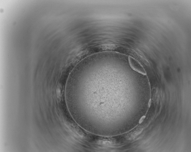 X0000088600655200706011204