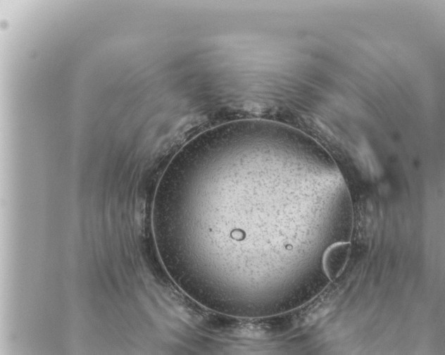 X0000088600656200706011204