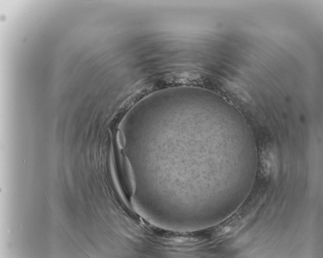 X0000088600657200706011204