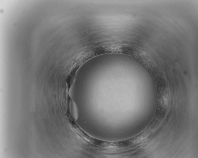 X0000088600658200706011204