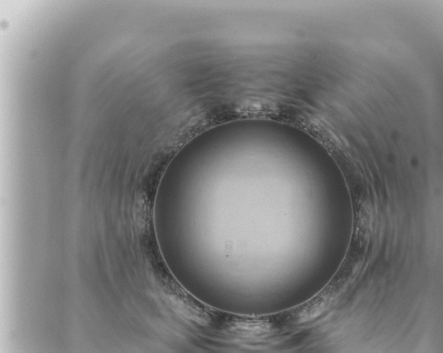 X0000088600659200706011204