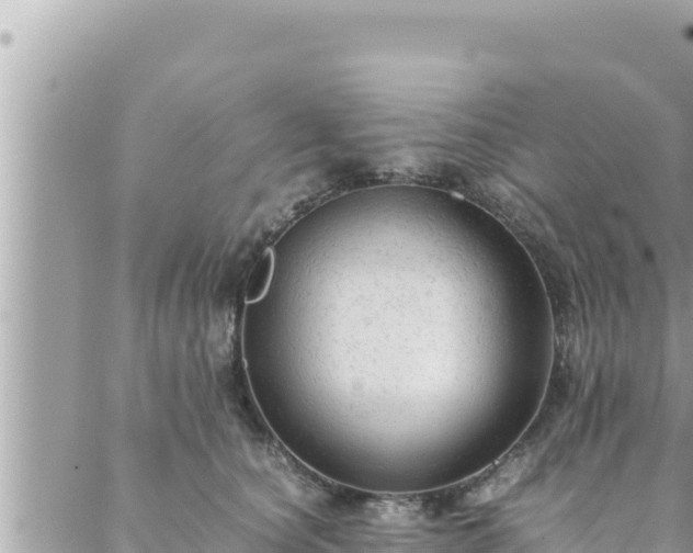 X0000088600660200706011204