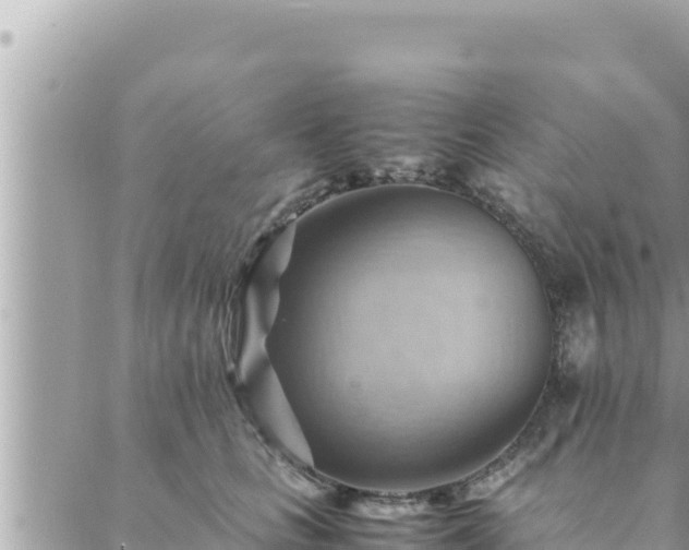 X0000088600661200706011204