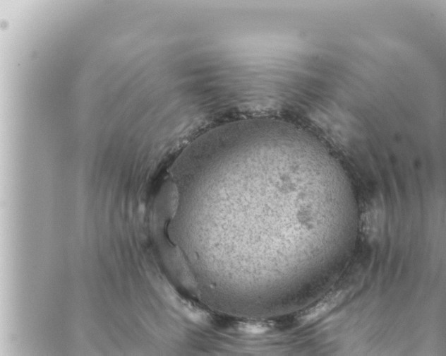 X0000088600662200706011204