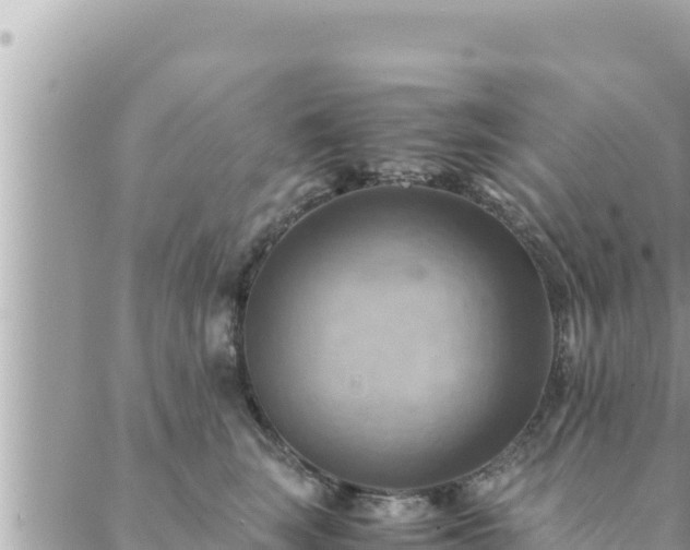 X0000088600663200706011204