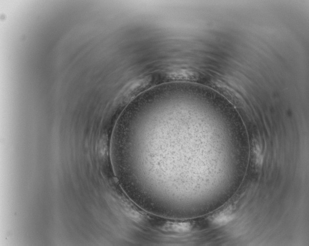 X0000088600665200706011204