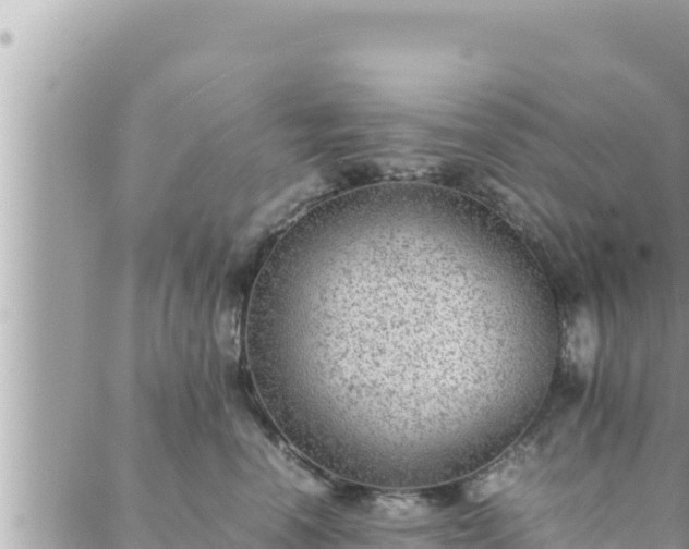 X0000088600666200706011204