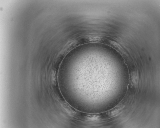 X0000088600667200706011204