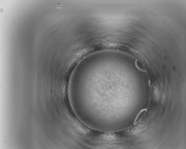 X0000088600668200706011204