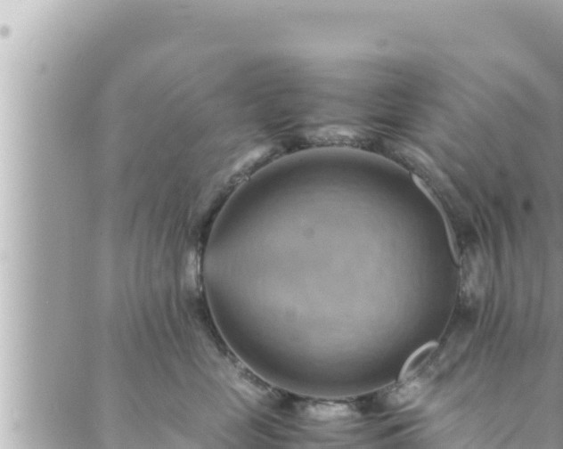 X0000088600669200706011204