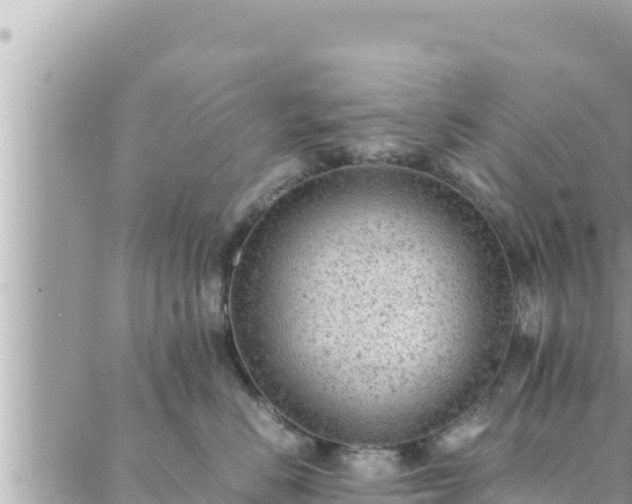 X0000088600670200706011204