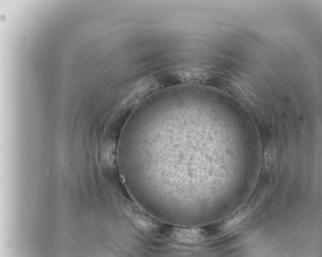 X0000088600671200706011204