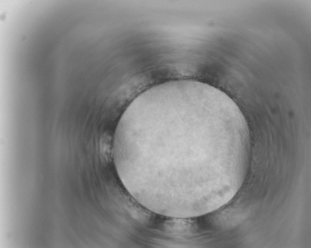 X0000088600672200706011204