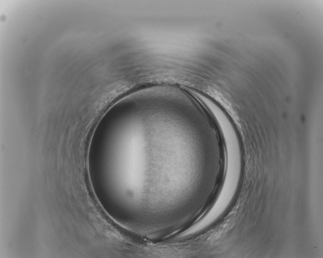 X0000088600673200706011203