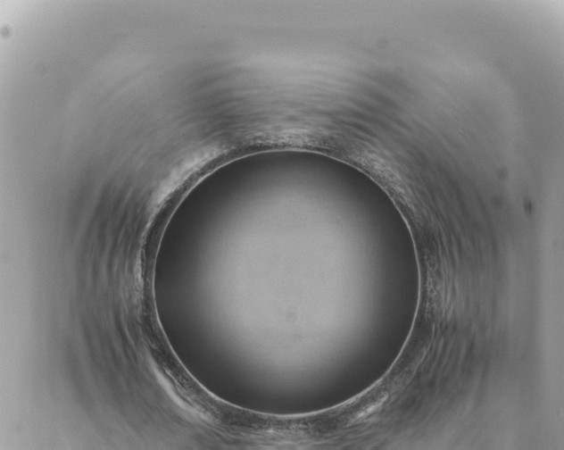 X0000088600674200706011203