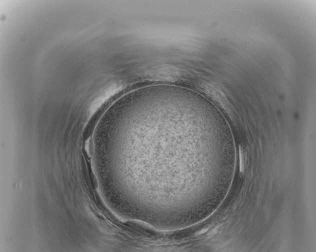 X0000088600675200706011203