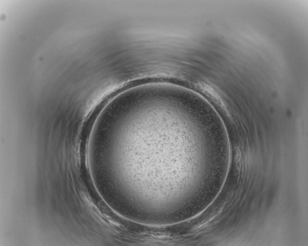 X0000088600676200706011203