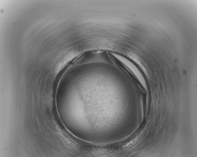 X0000088600677200706011203