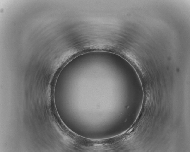 X0000088600678200706011203