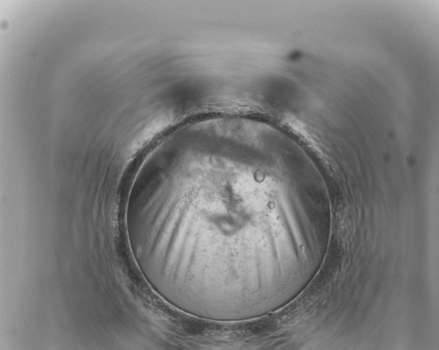 X0000088600679200706011203