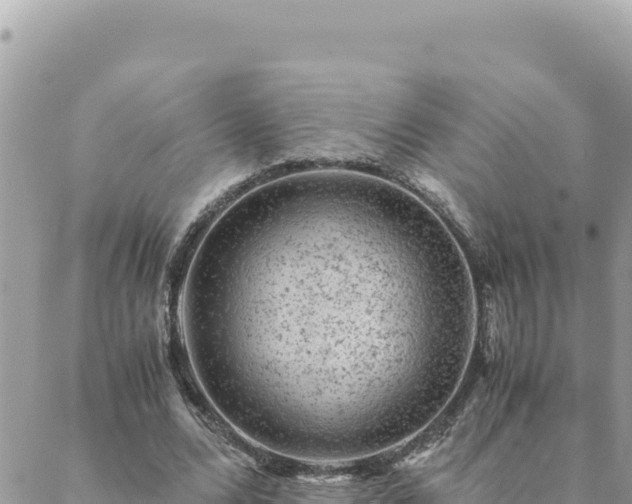 X0000088600680200706011203