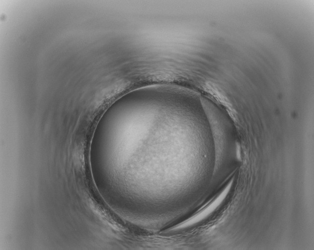 X0000088600681200706011203